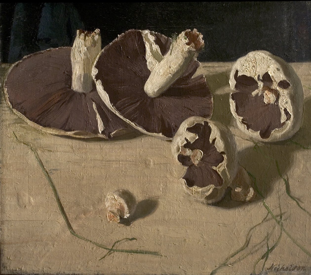 Sopp av William Nicholson