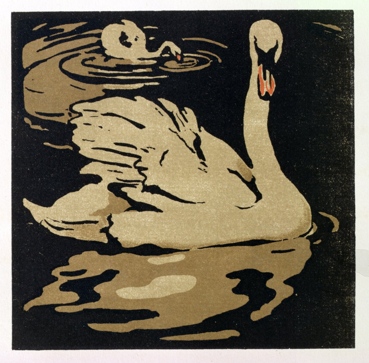 The Beautiful Swan, illustrasjon fra 