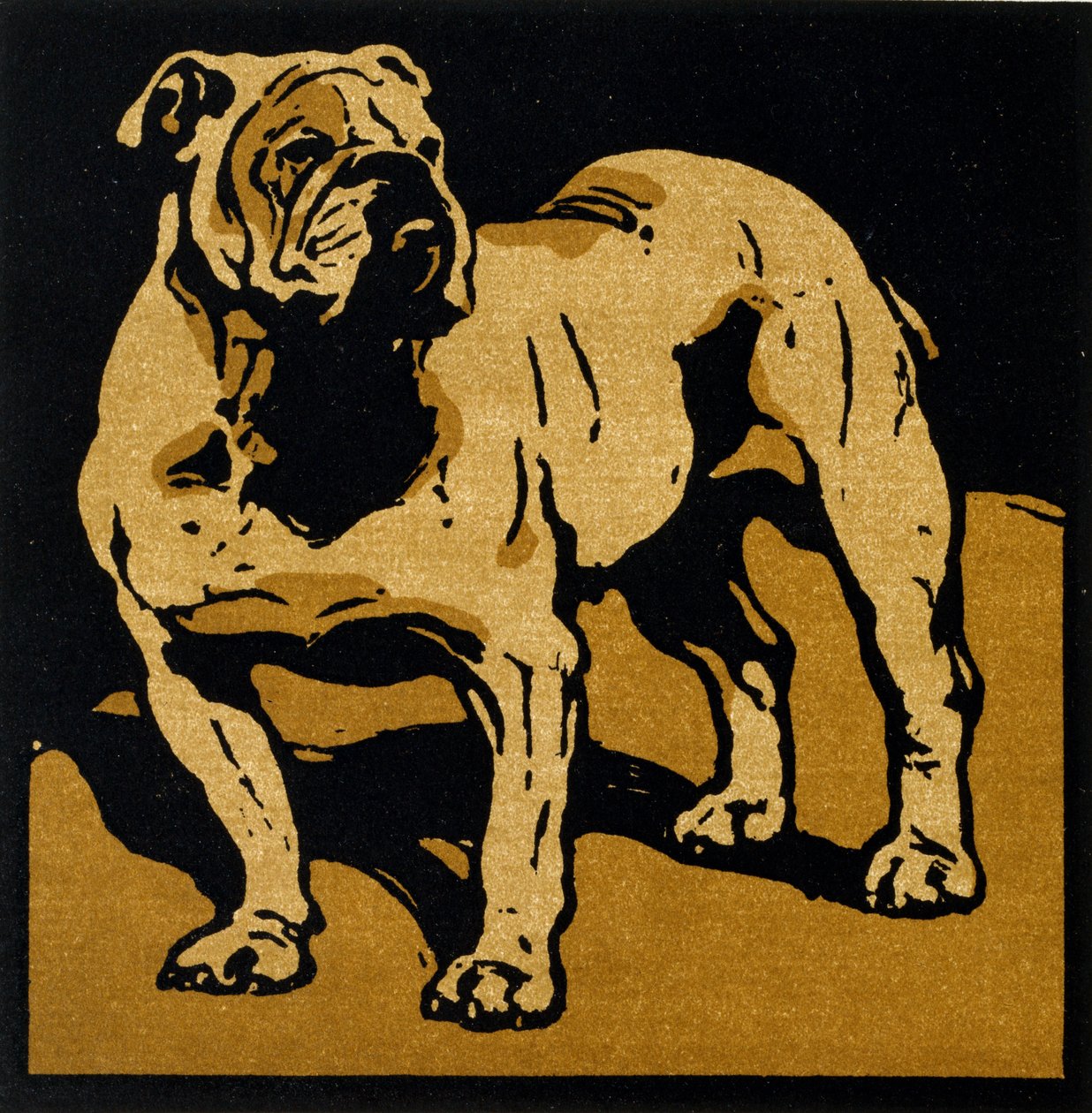 The British Bull-Dog, fra 