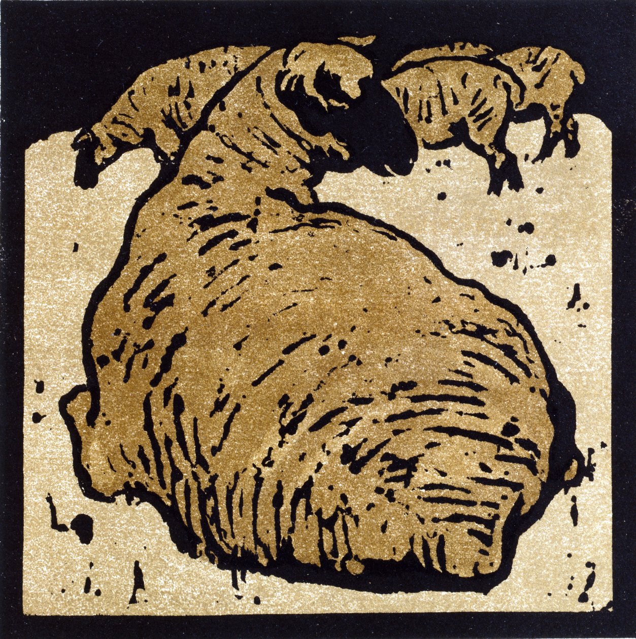 The Simple Sheep, illustrasjon fra 