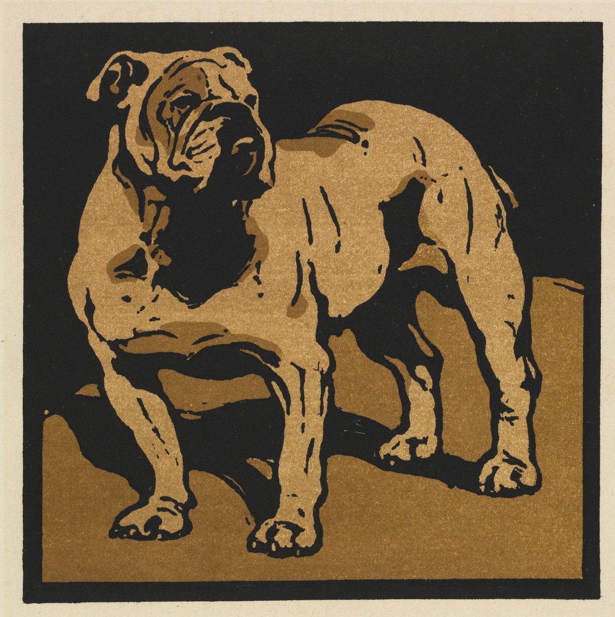 The Square Book of Animals: The British Bull-Dog av William Nicholson