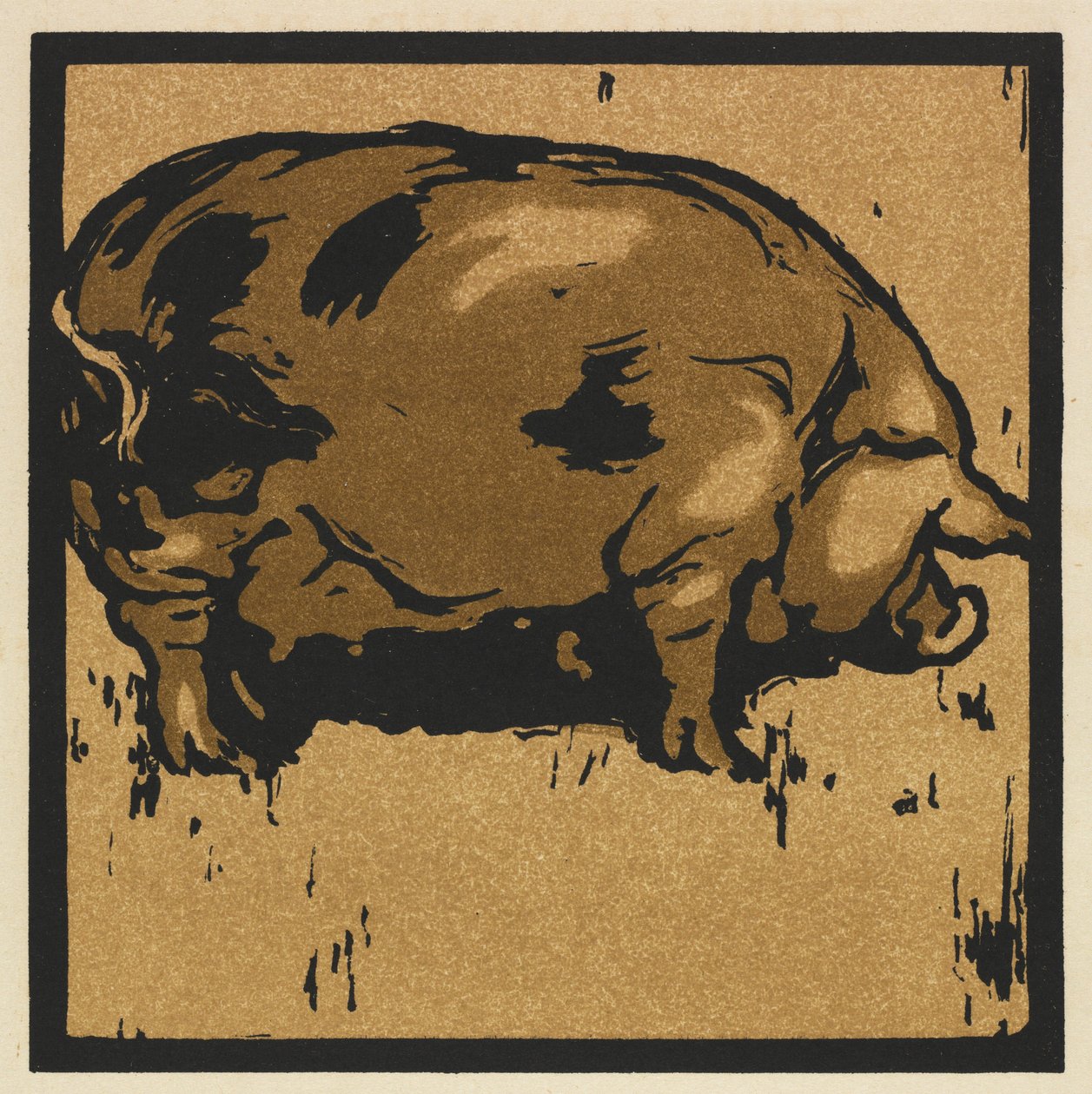 The Square Book of Animals: The Learned Pig av William Nicholson