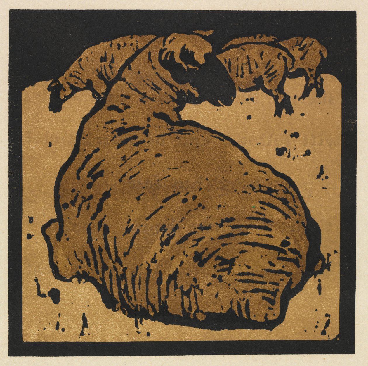  av William Nicholson