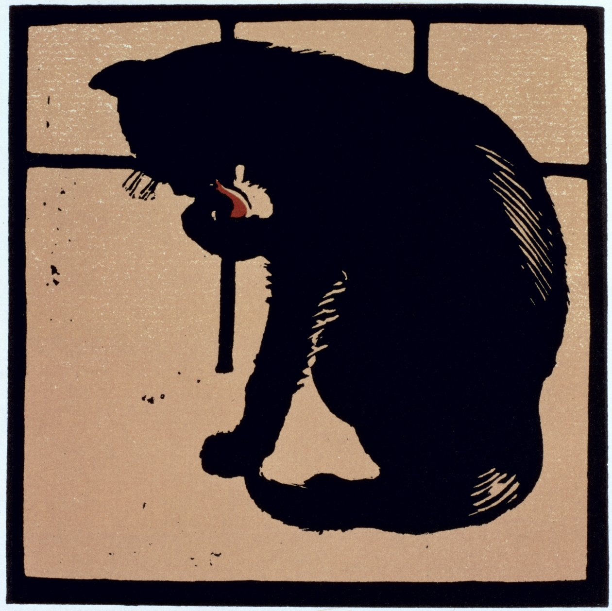 The Un-Common Cat, fra 