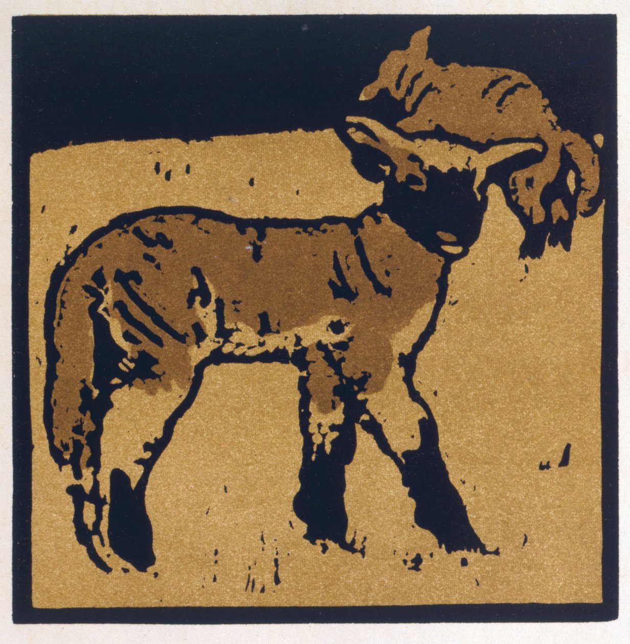 The Very Tame Lamb, fra 