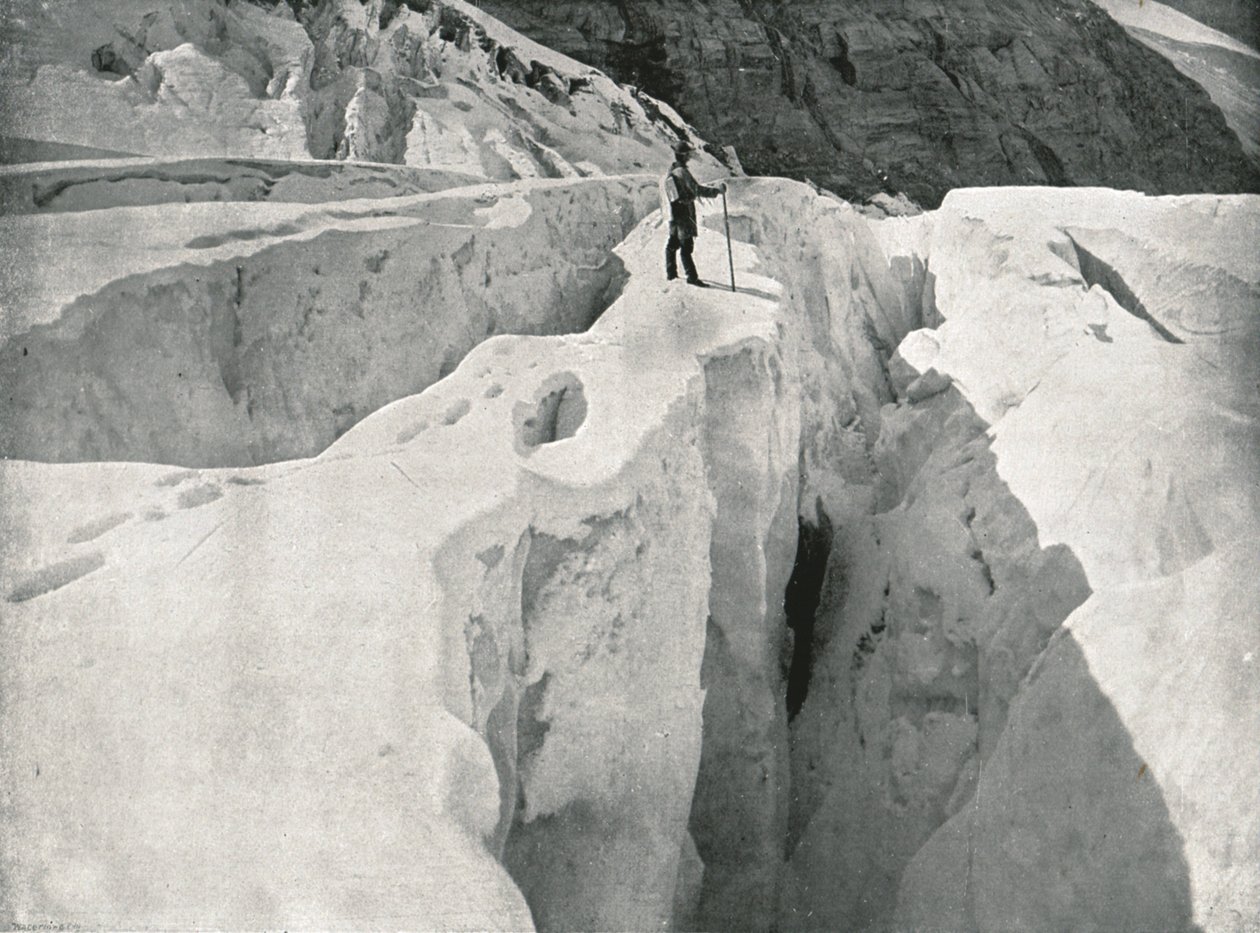 Rockies: Asulkan Glacier, Hermit Range, Canada, 1895. av William Notman and Son