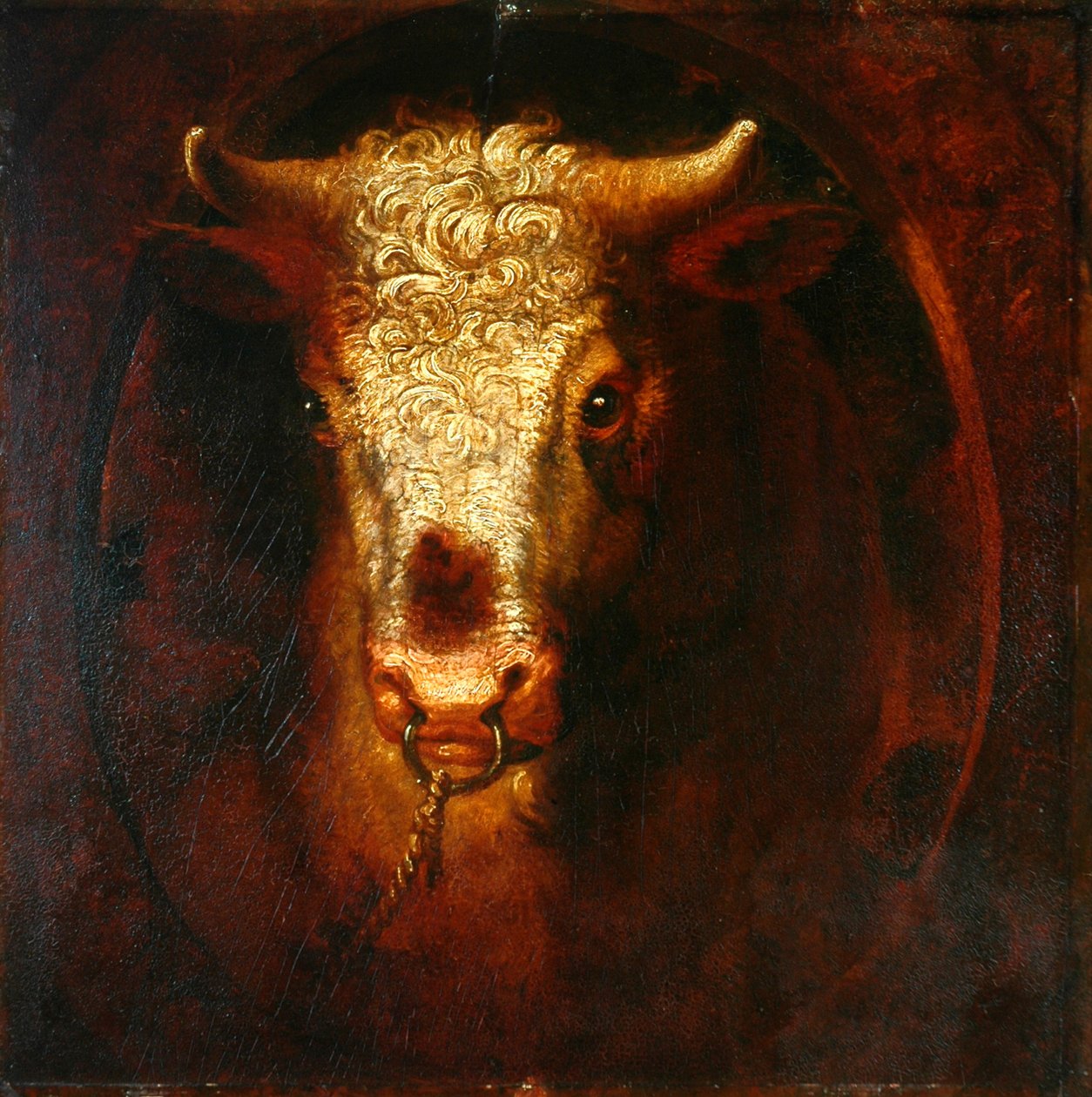Oksehodet (olje på trepanel) av William Overend Geller