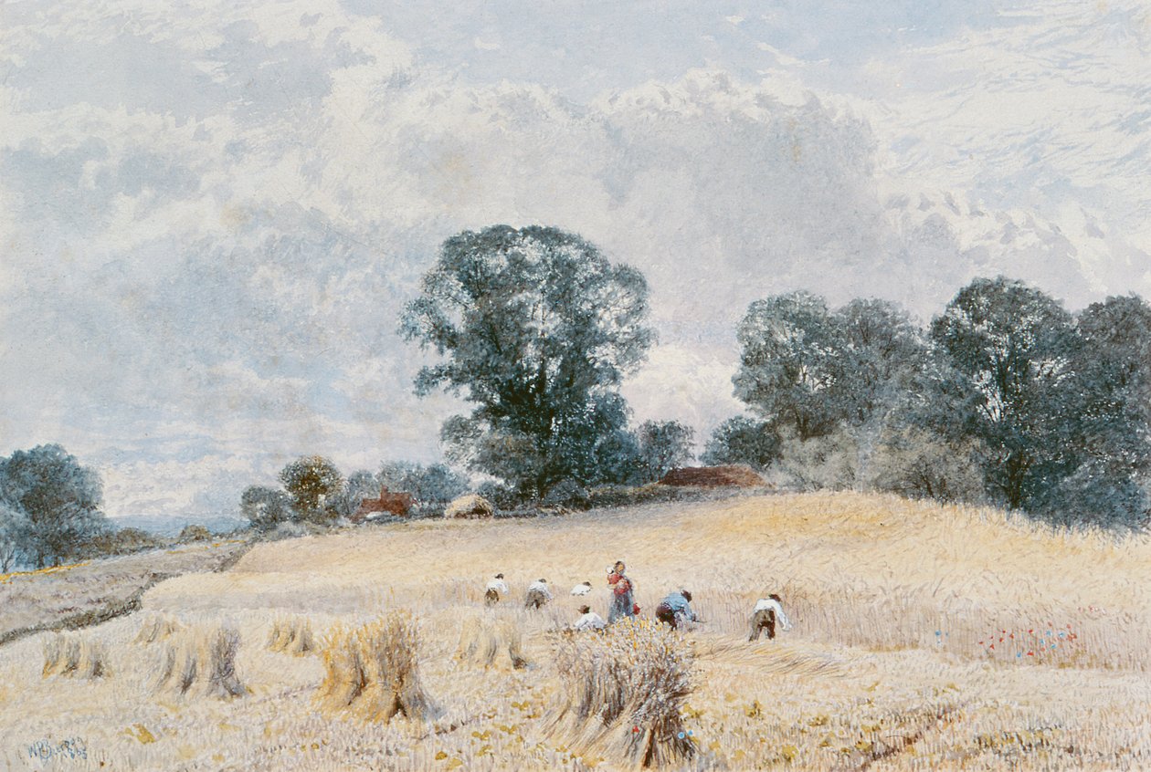 Innhøstingen av William Paton Burton