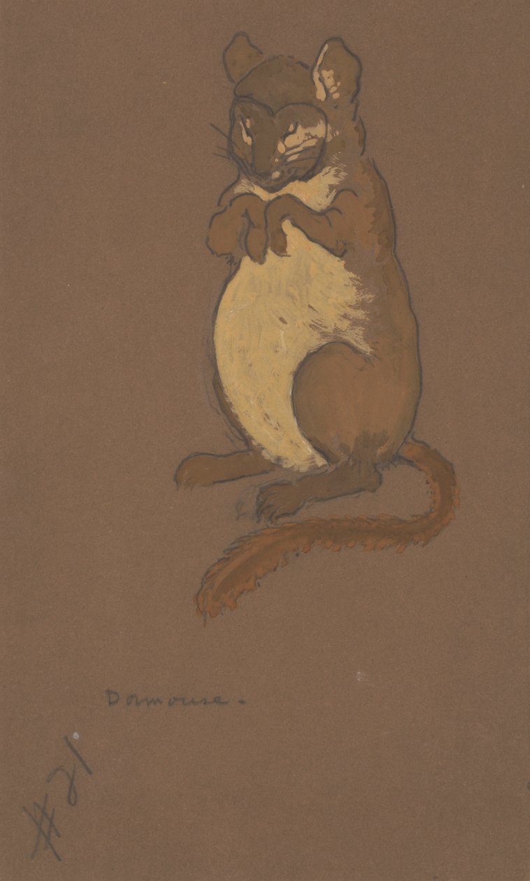 Dormus kostymedesign for Alice-in-Wonderland, 1915. av William Penhallow Henderson
