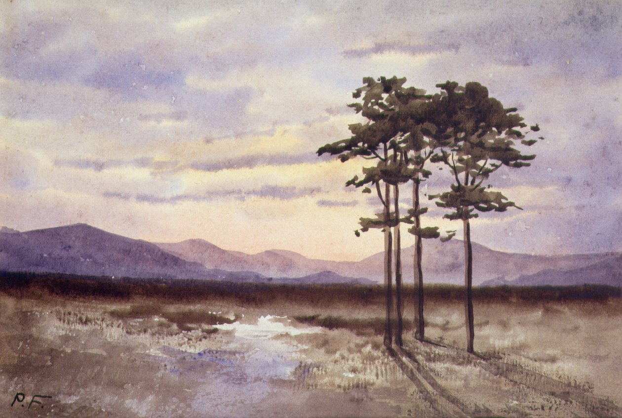 Sunset, County Sligo (akvarell på papir) av William Percy French