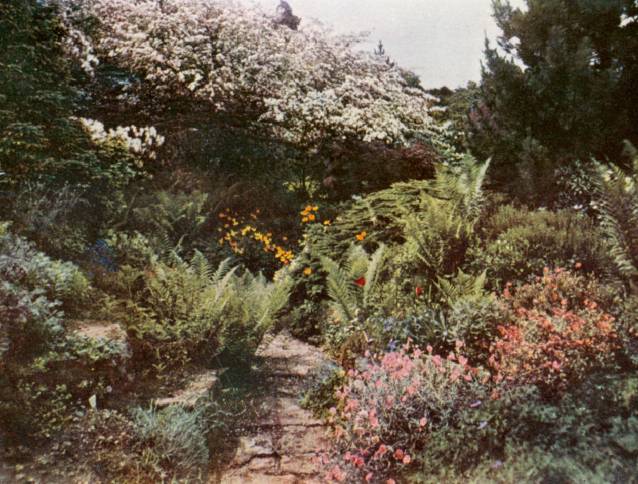  av William Ransford