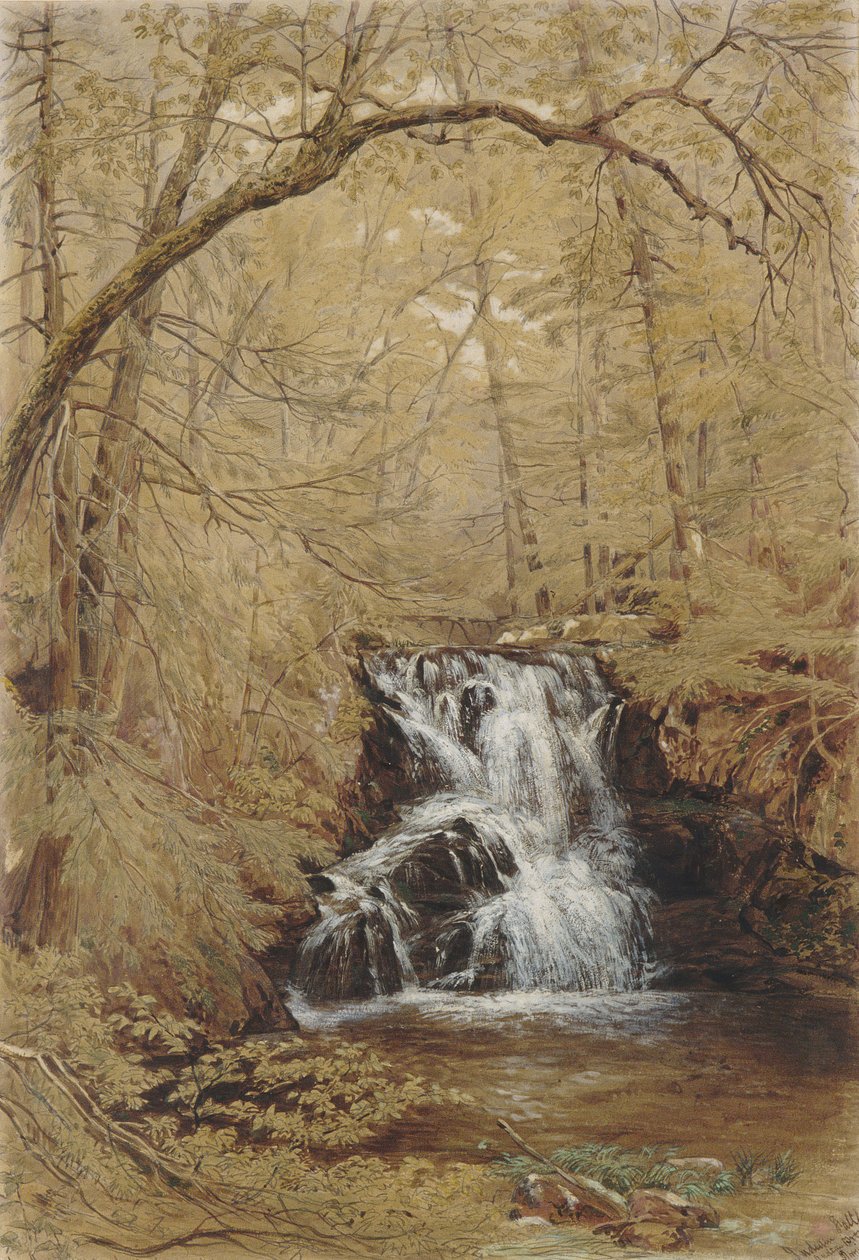 Indian Falls, Indian Brook, Cold Springs, New York, 1850. av William Rickarby Miller
