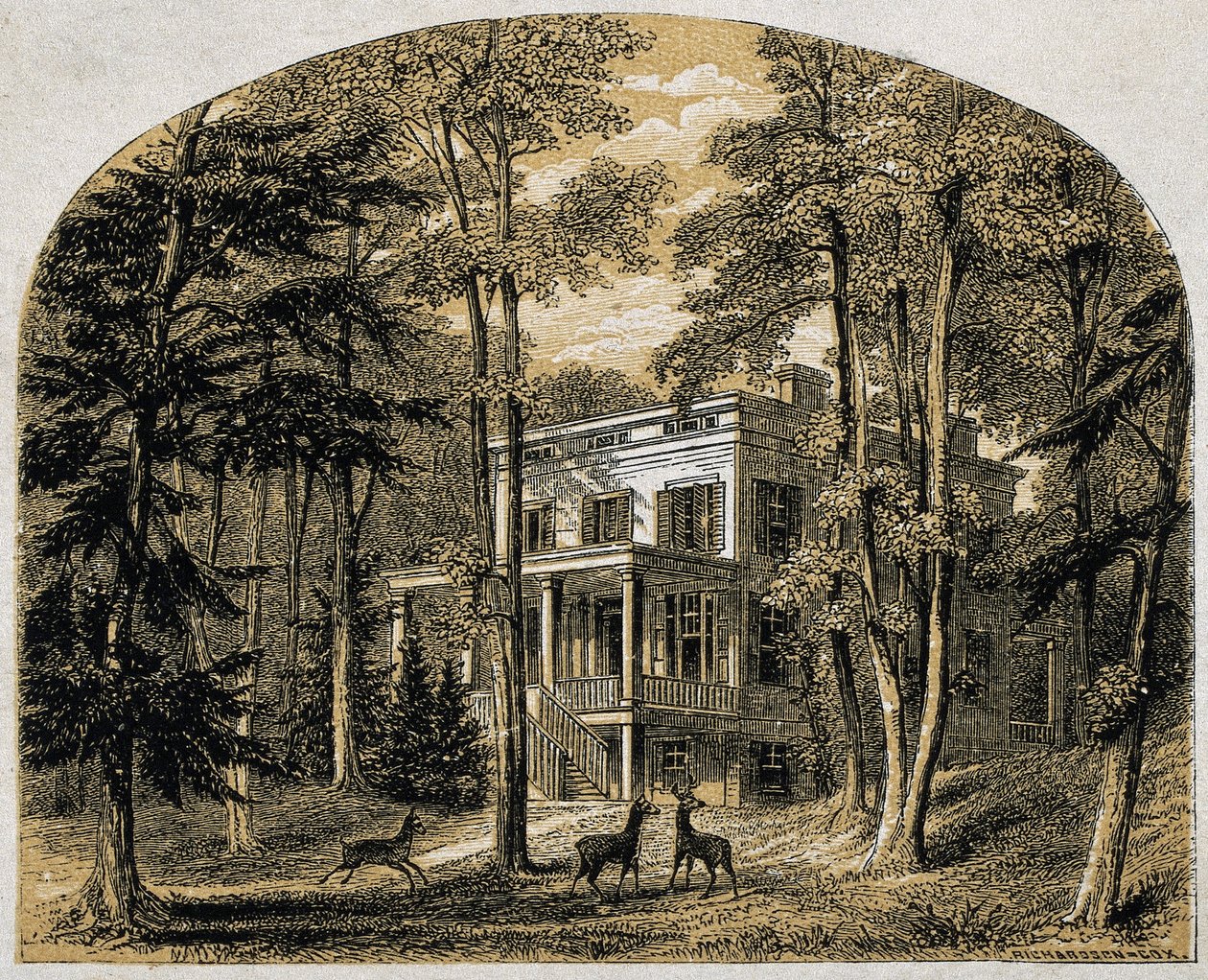 James John Audubons hjem "Minniesland", pub. C 1861 (tregravering) av William Rickarby Miller