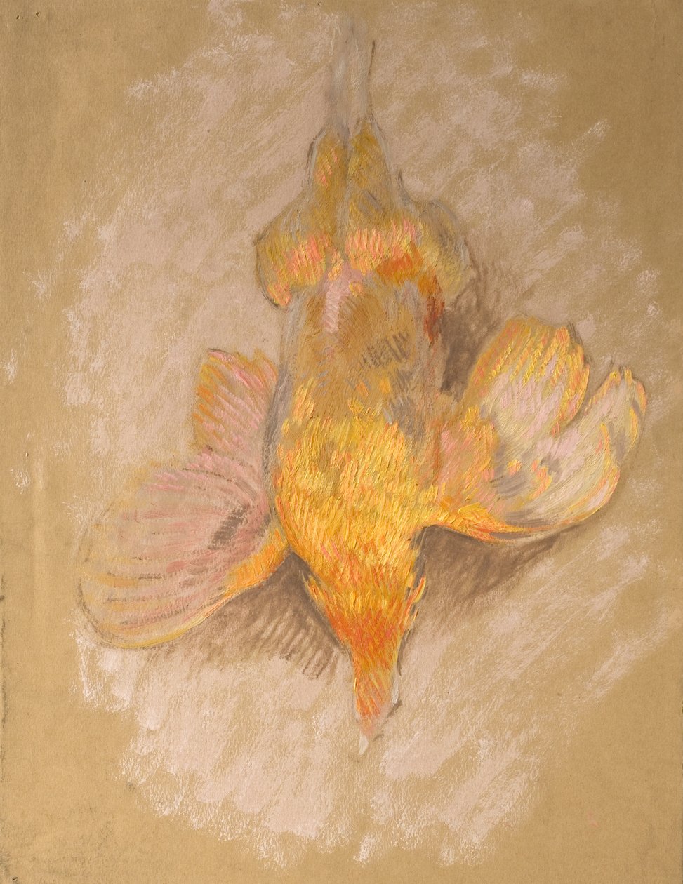 Study of a Fowl for Highland Raiders, ca. 1918 (olje på papir) av William Shackleton