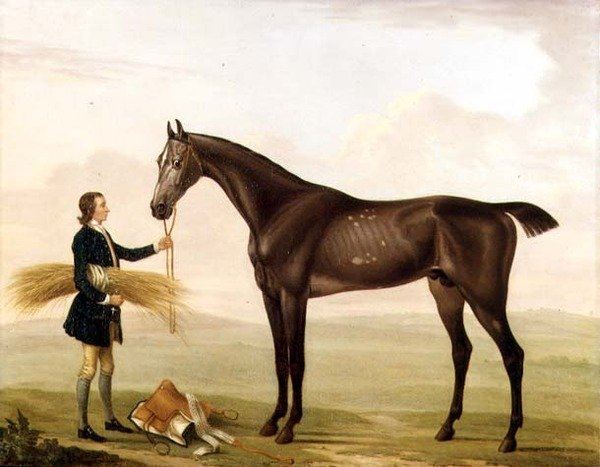 En dapple grå hingst holdt av en brudgom av William Shaw