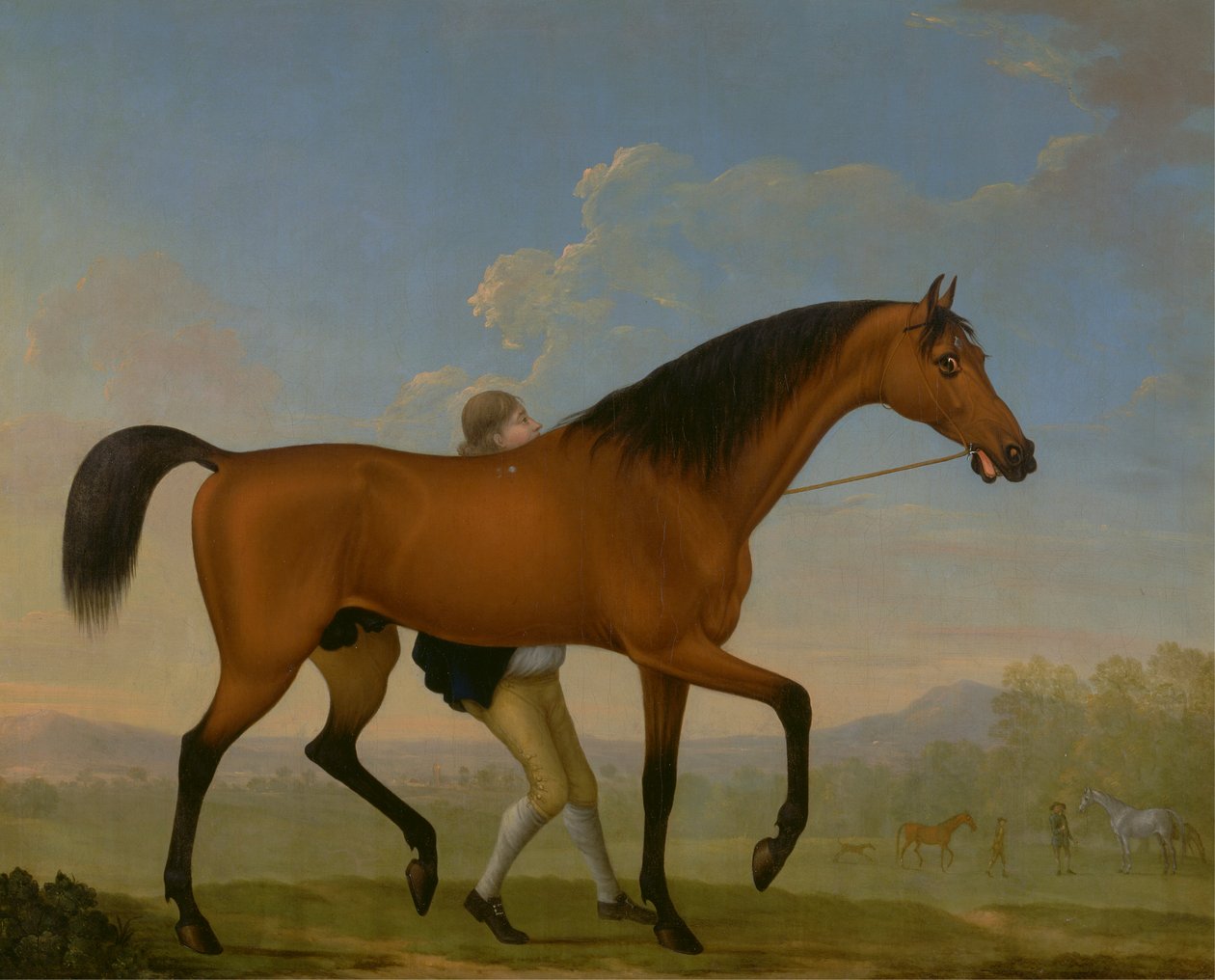 The Duke of Ancaster's Bay Stallion, Blank, Walking Towards a Mare av William Shaw