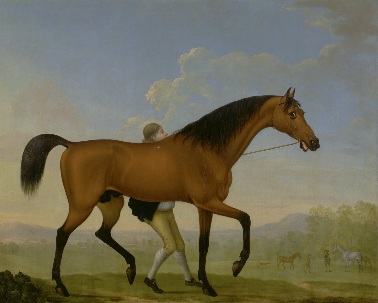 The Duke of Ancasters Bay Stallion, Blank, går mot en hoppe av William Shaw