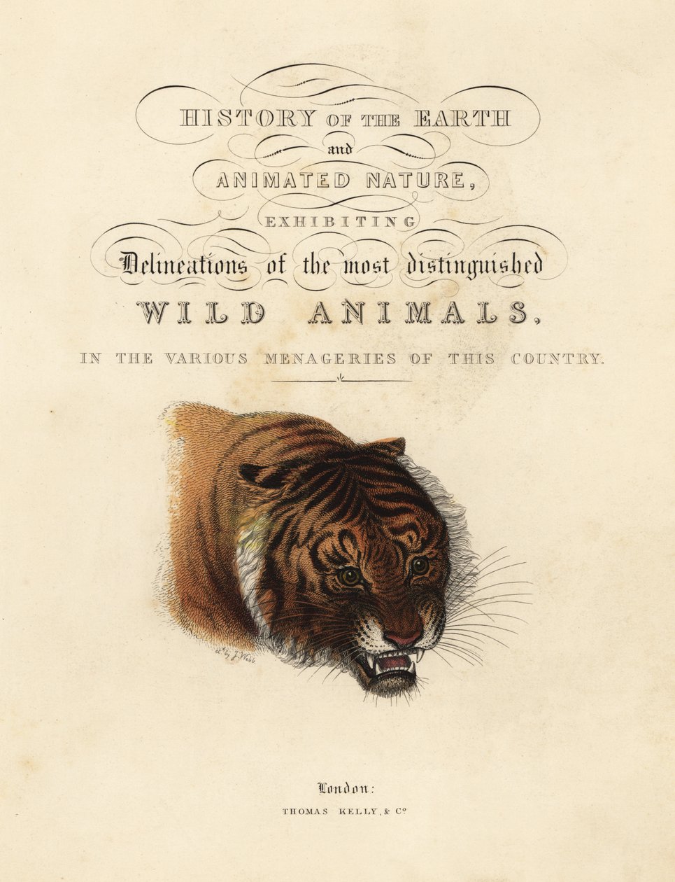 Kalligrafisk tittelside med vignett av tiger av William Smellie