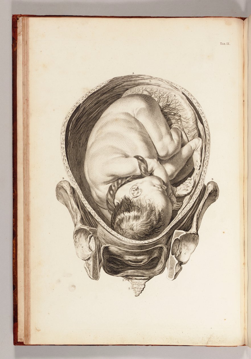 Gravering av et barn i livmoren fra "A Set of Anatomical Tables, with Explanations, and a Abridgement, of the Practice of Midwifery", 1754 av William Smellie