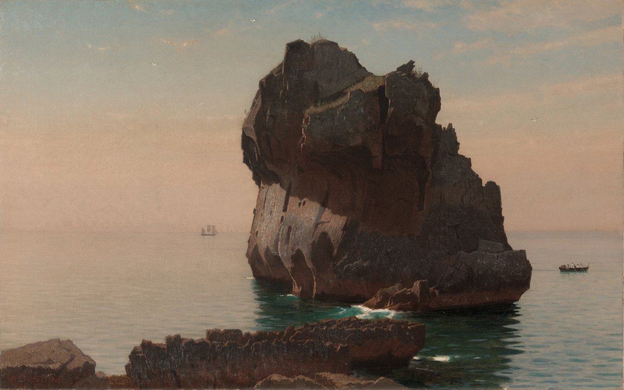  av William Stanley Haseltine