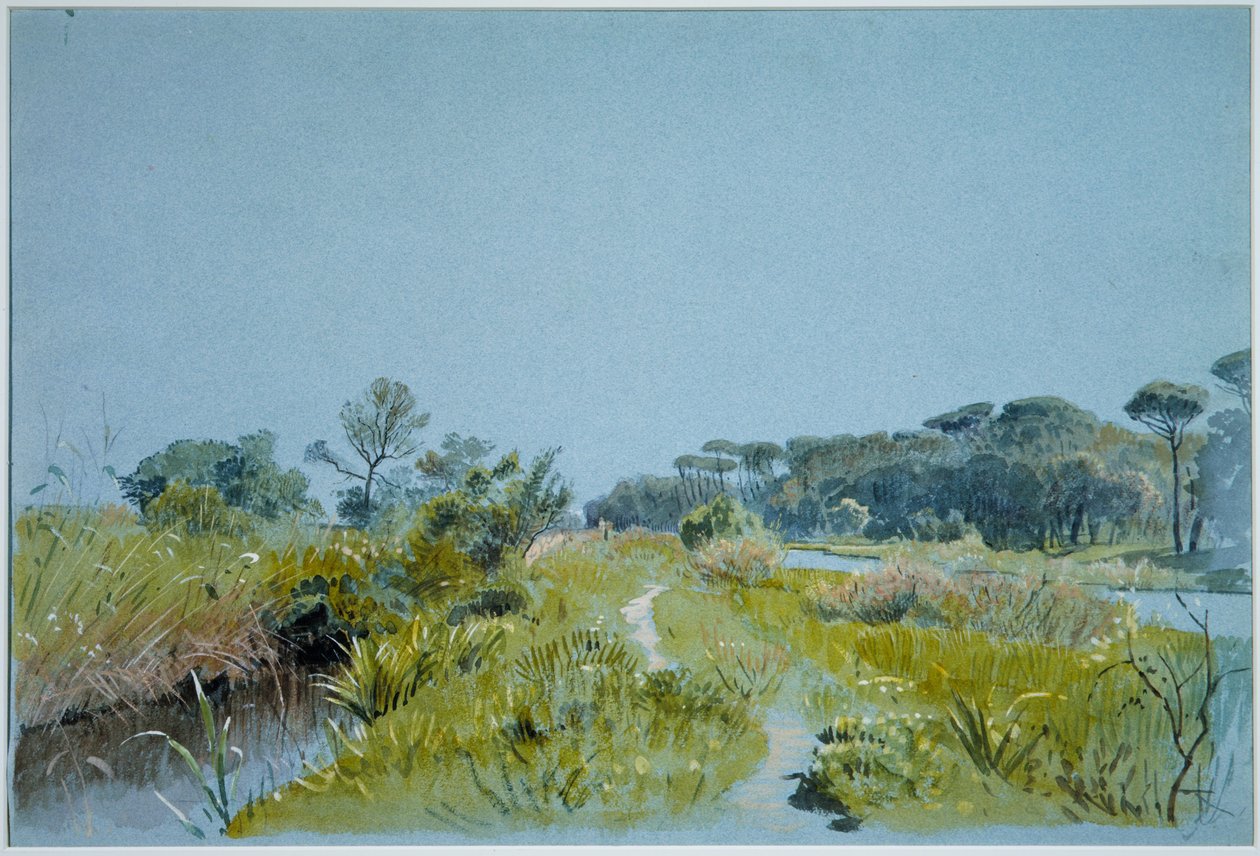 Castel Fusano - nær Roma av William Stanley Haseltine