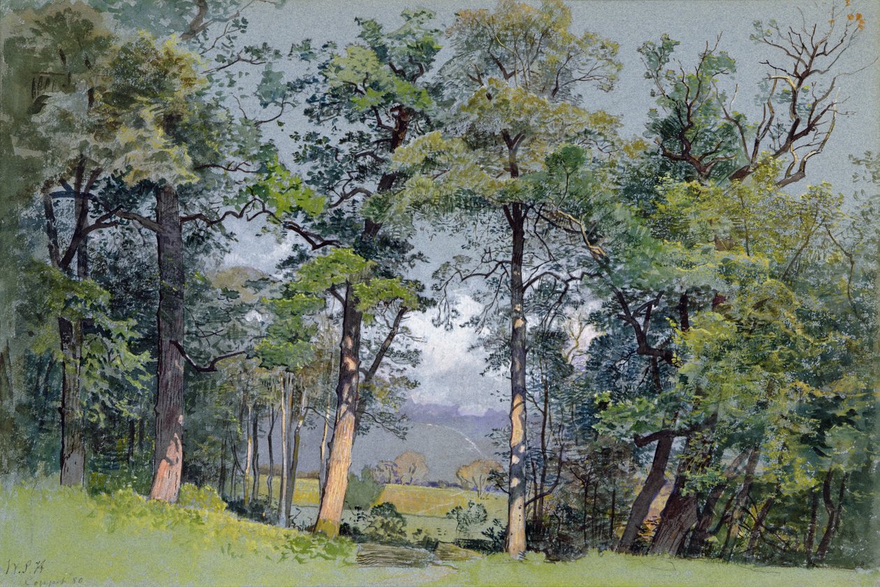  av William Stanley Haseltine