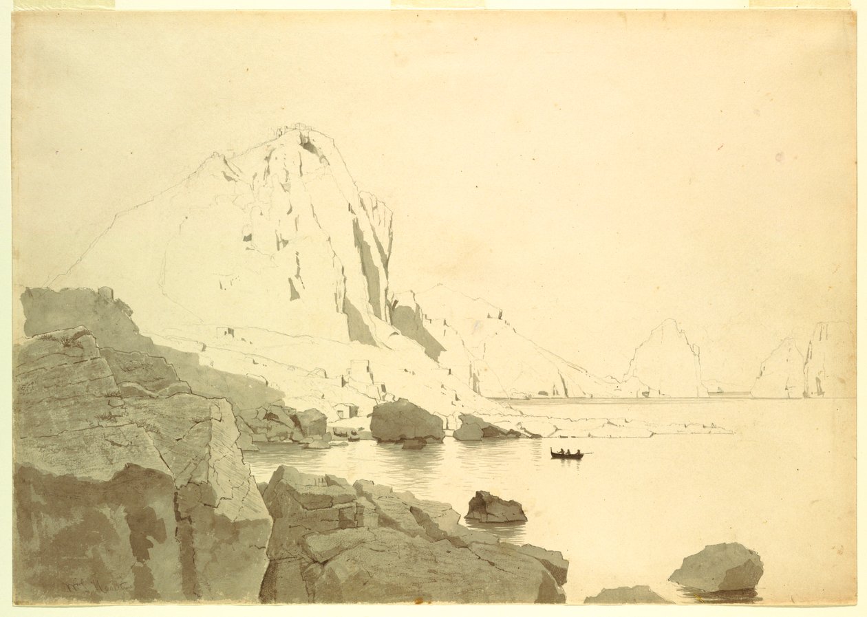  av William Stanley Haseltine