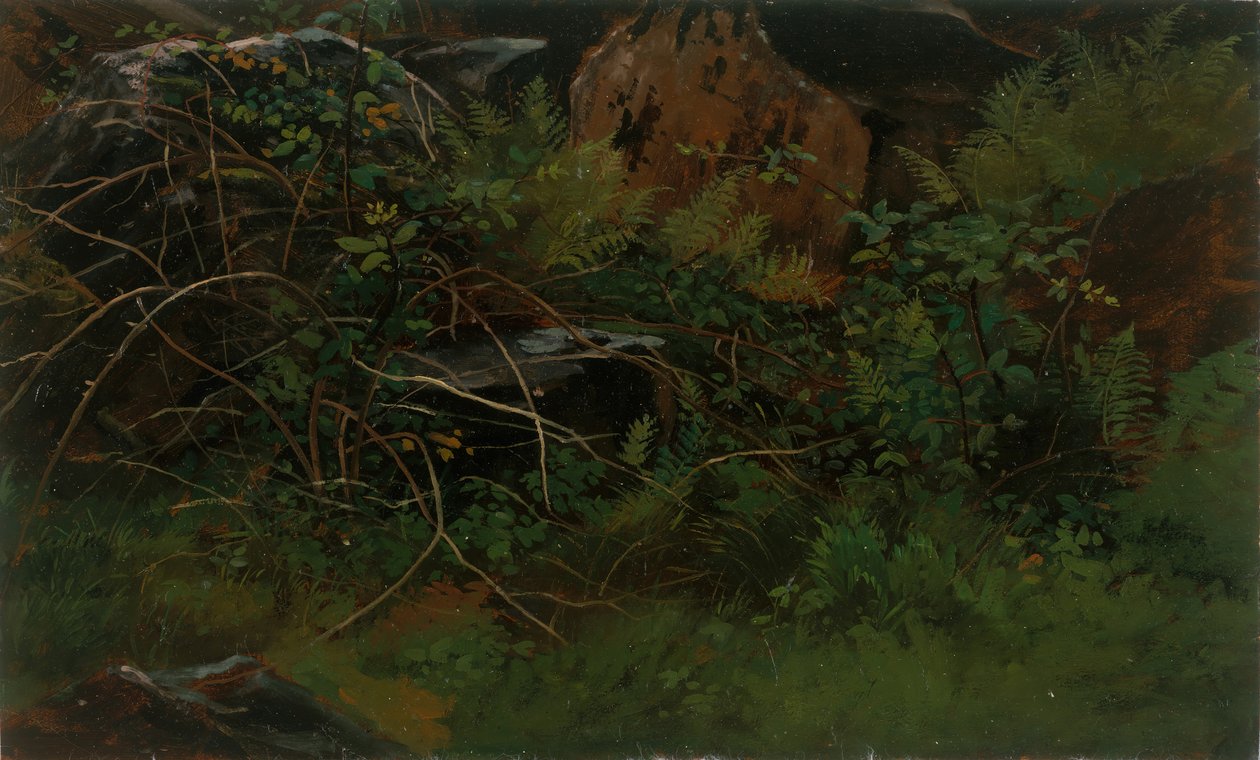 Studie fra naturen. av William Stanley Haseltine