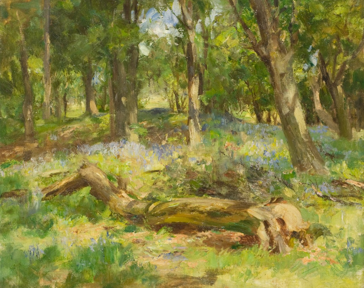 Woodland Scene (olje på lerret) av William Stewart MacGeorge