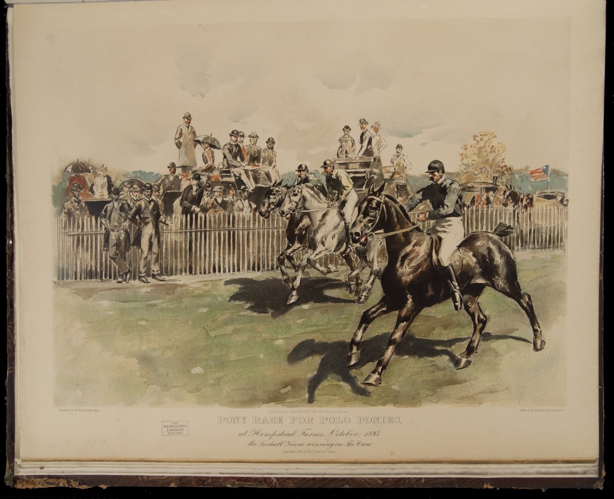 Ponniløp for poloponnier av William Sullivant Vanderbilt Allen