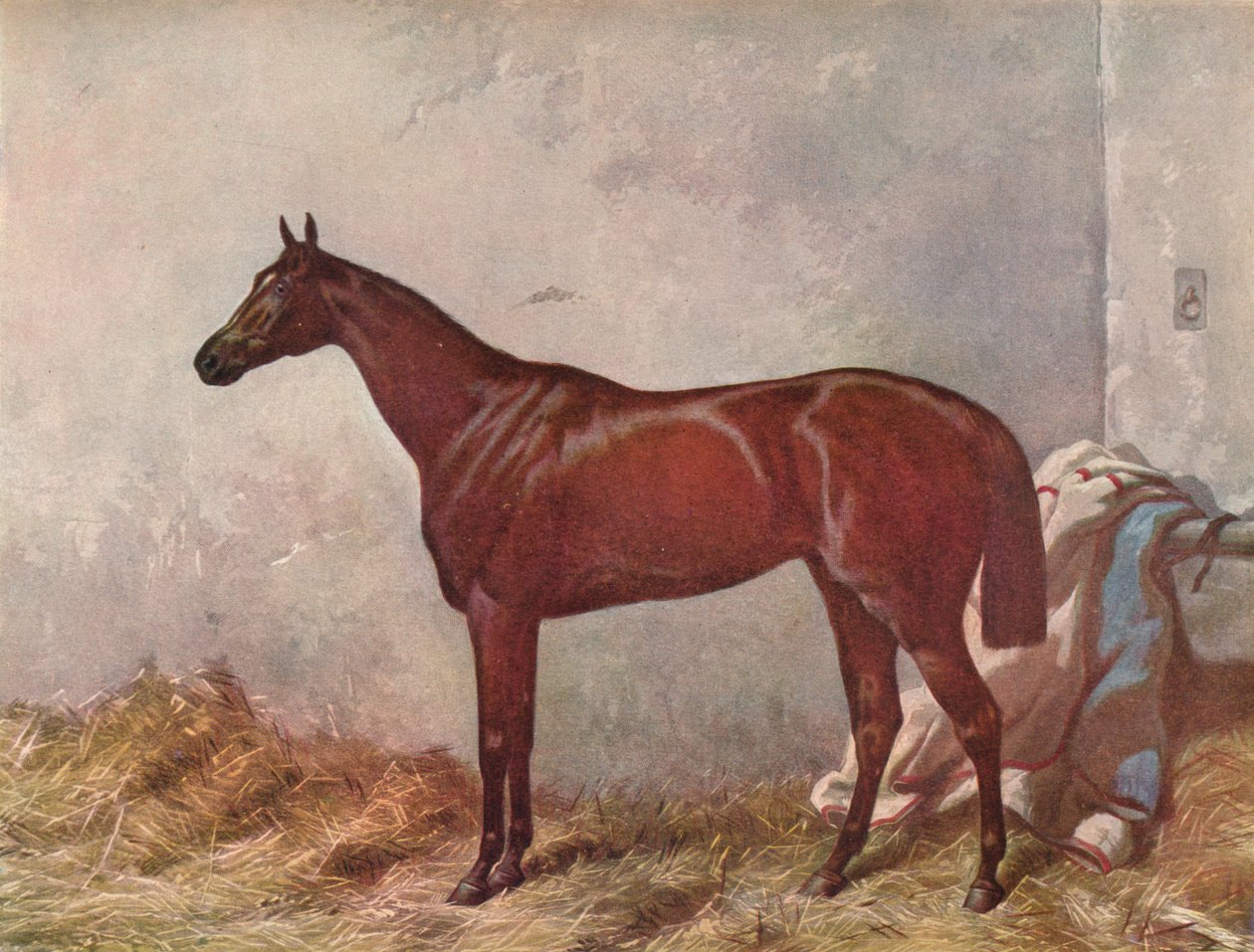 Eremitt: vinner av Derby Stakes i Epsom, 1867, 1903 av William Summers
