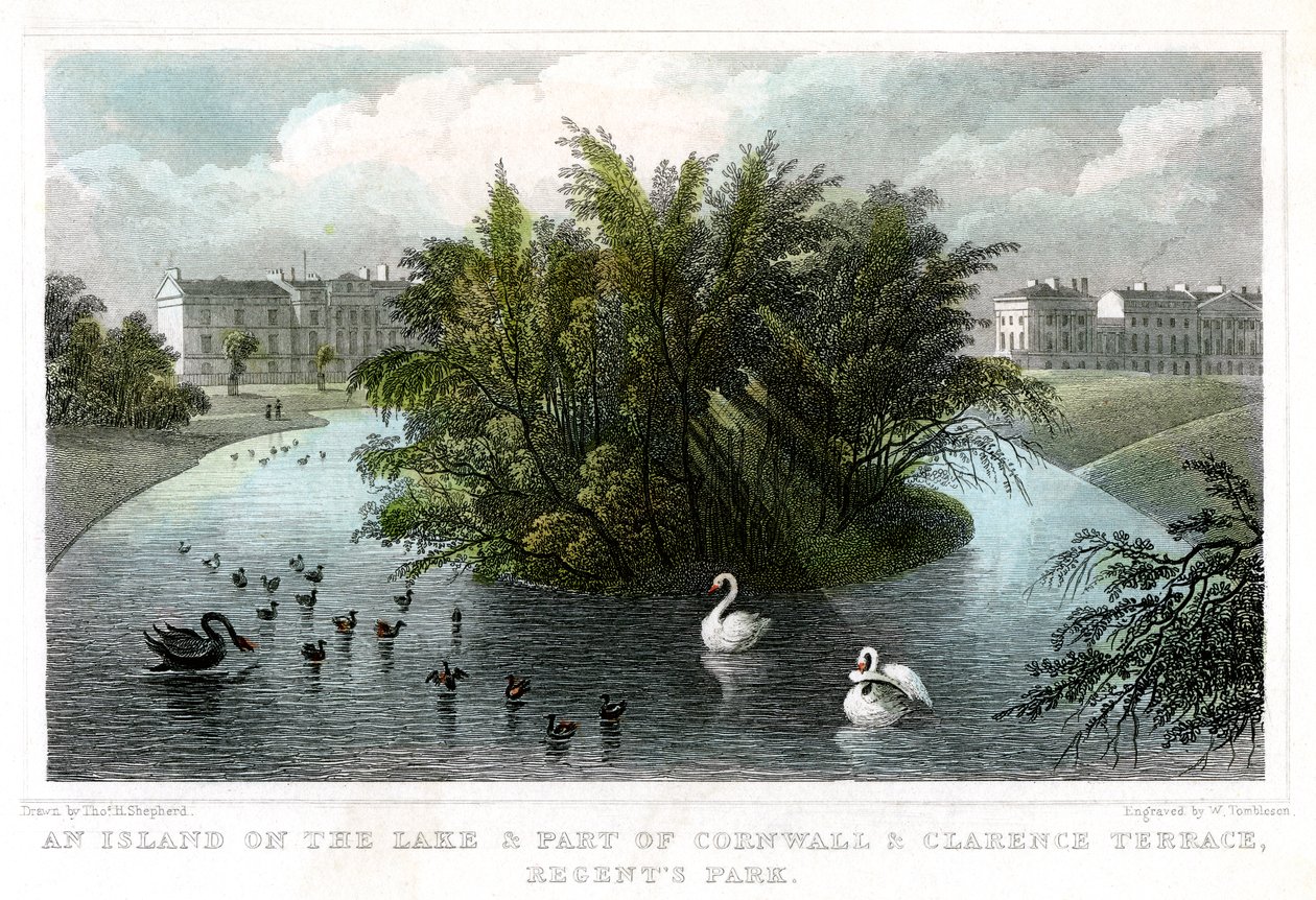 Øy ved sjøen og en del av Cornwall og Clarence Terraces, Regents Park, London, 1828. av William Tombleson