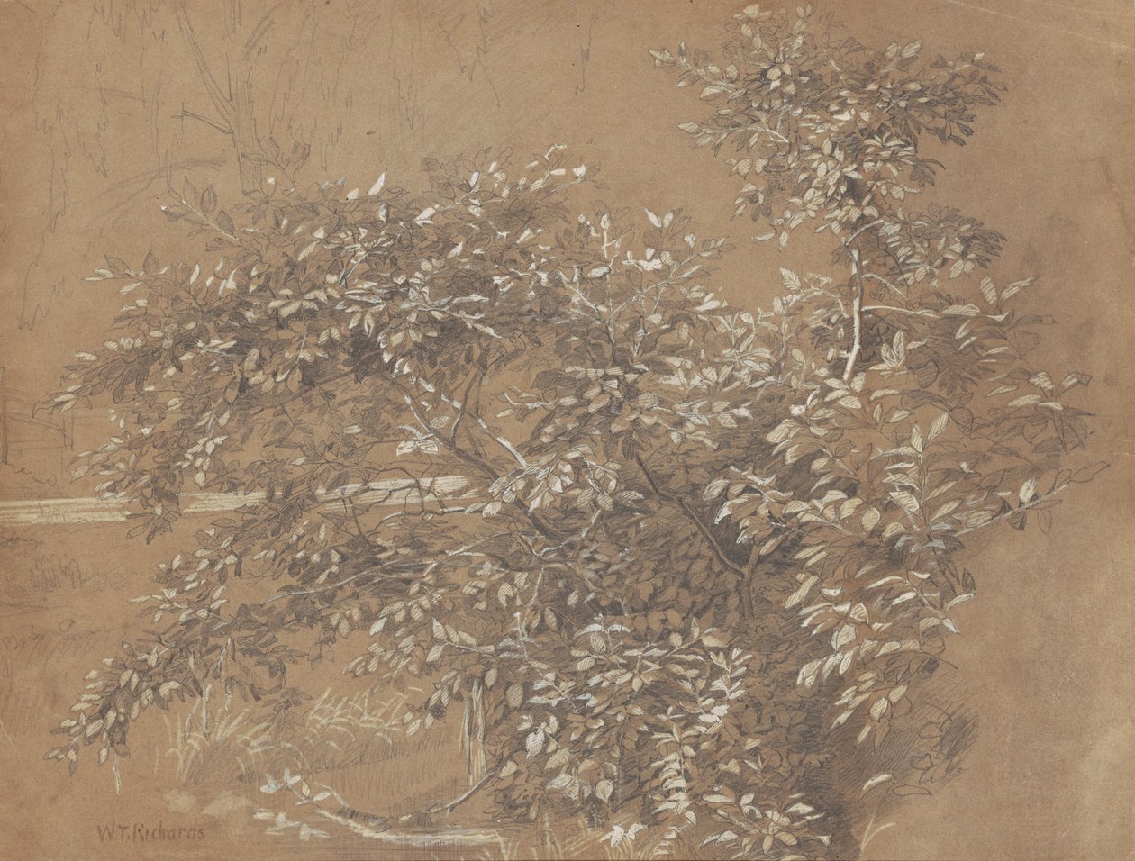 Løvverk av William Trost Richards
