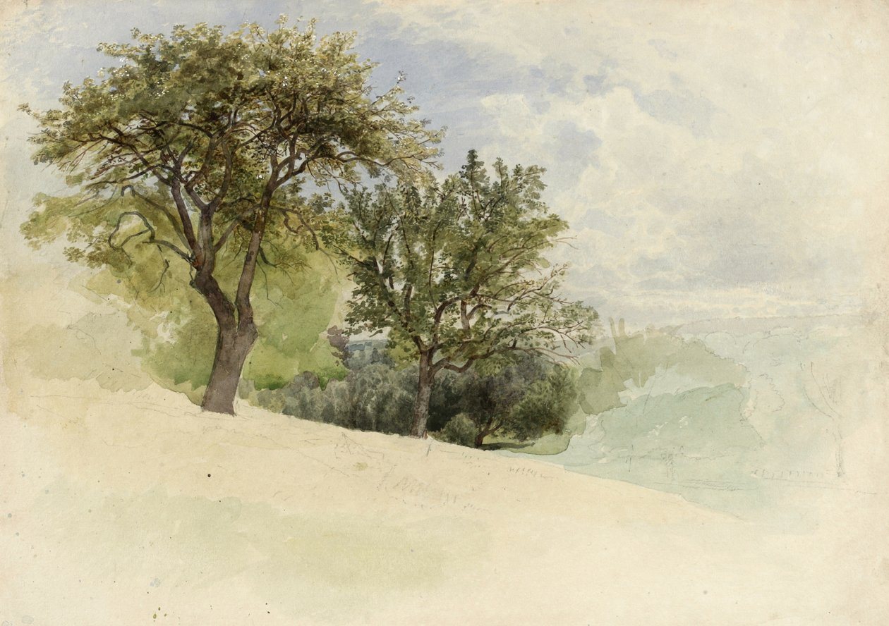 Landskap med trær på en åsside, 1880-85 (wc, grafitt og innslag av hvit gouache på kremtungt vevd papir) av William Trost Richards