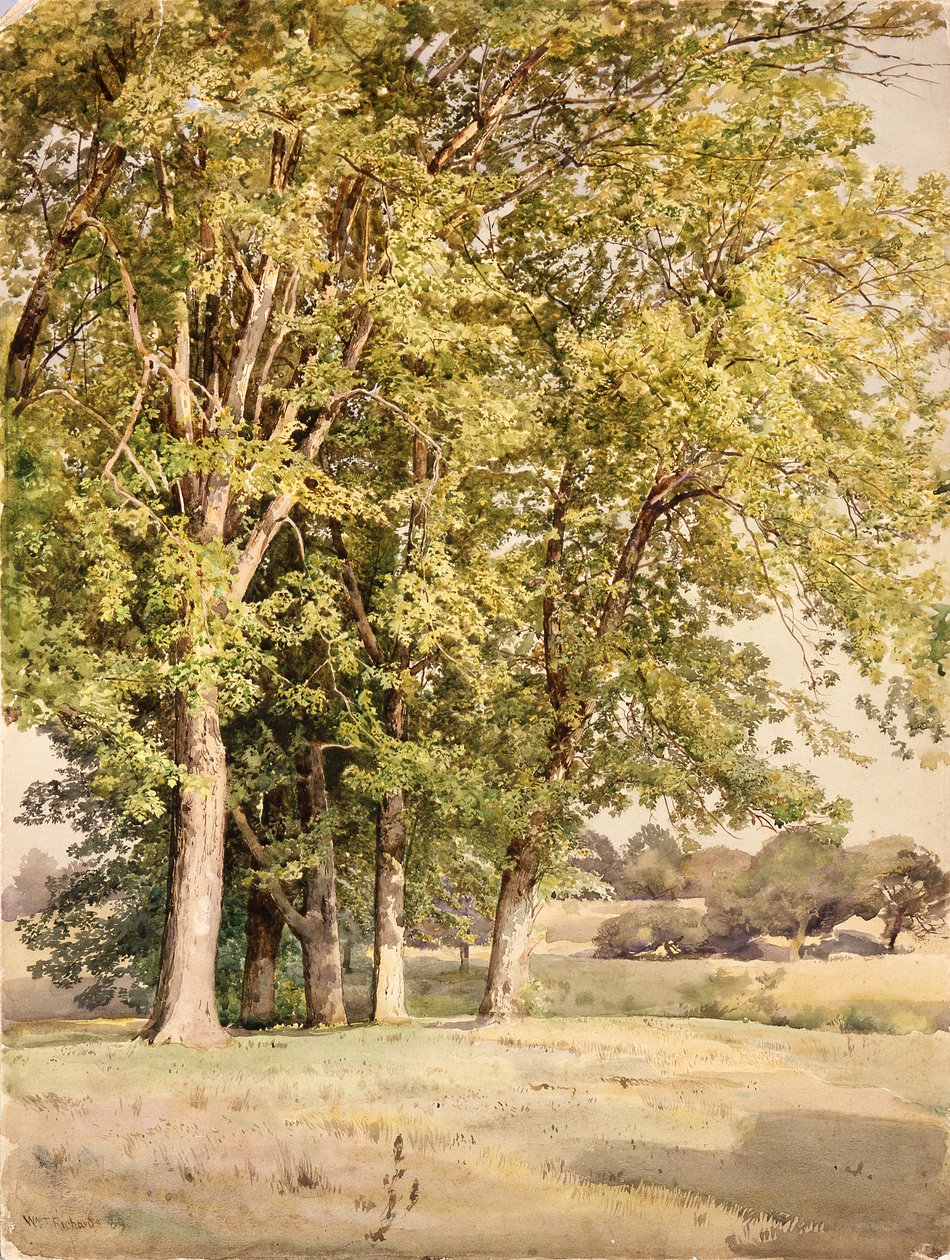  av William Trost Richards