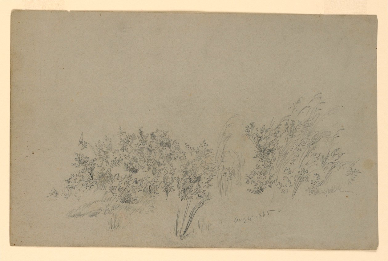 Studie av løvverk av William Trost Richards
