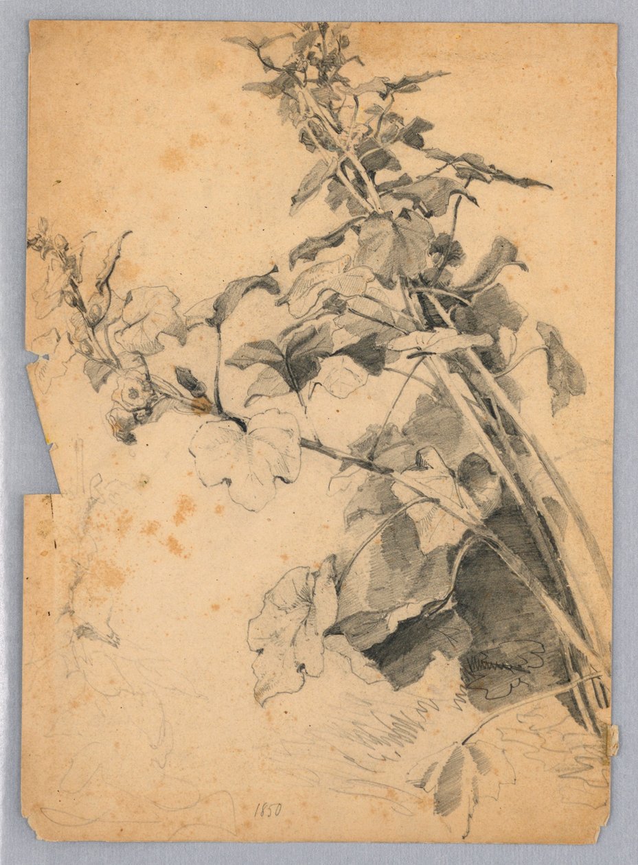 Studie av løvverk av William Trost Richards