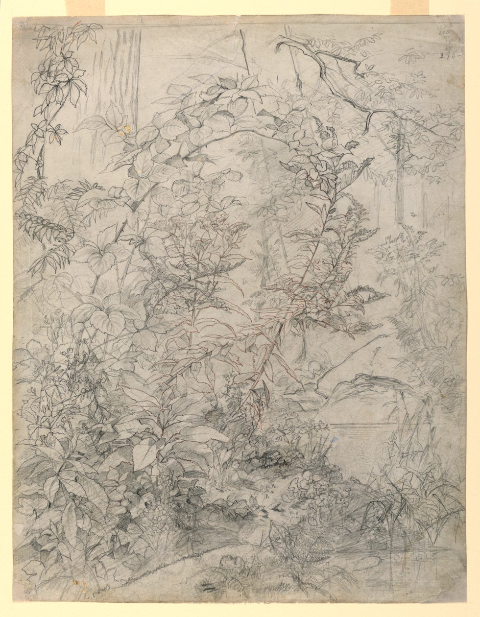 Studie av løvverk av William Trost Richards