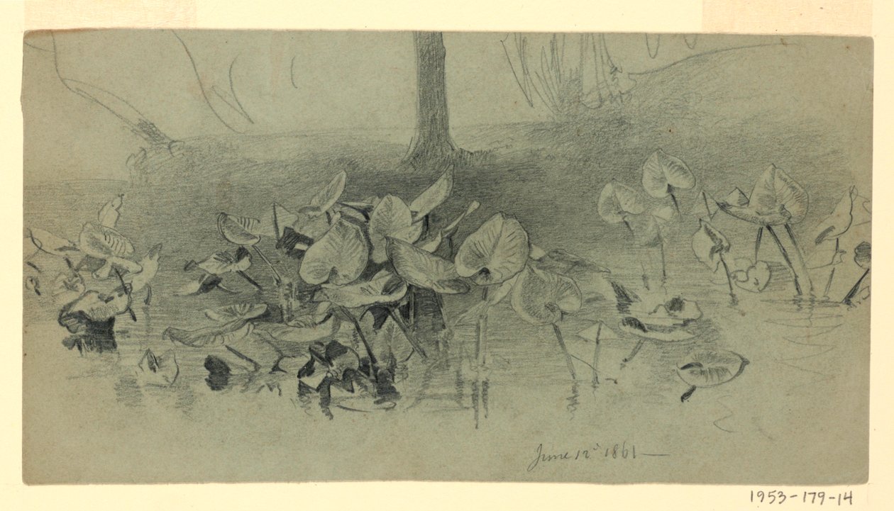 Studie av løvverk av William Trost Richards