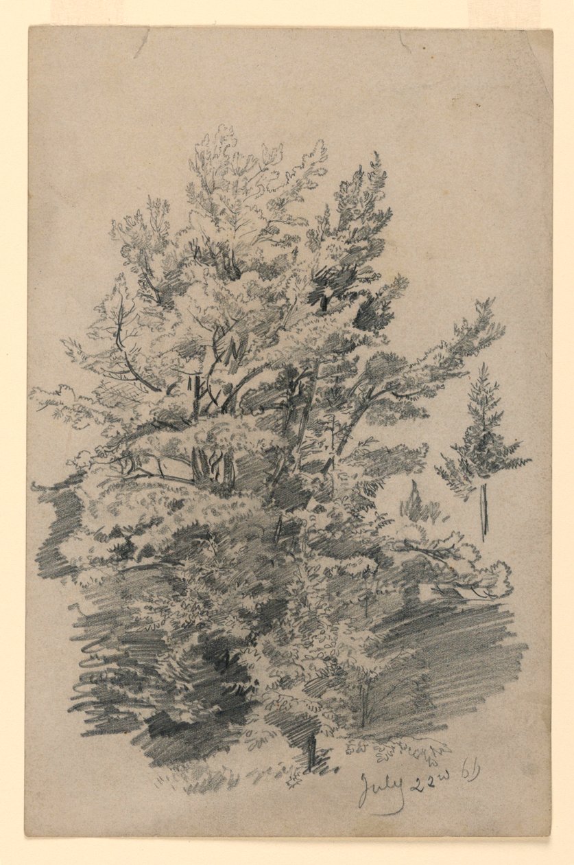 Studie av løvverk av William Trost Richards