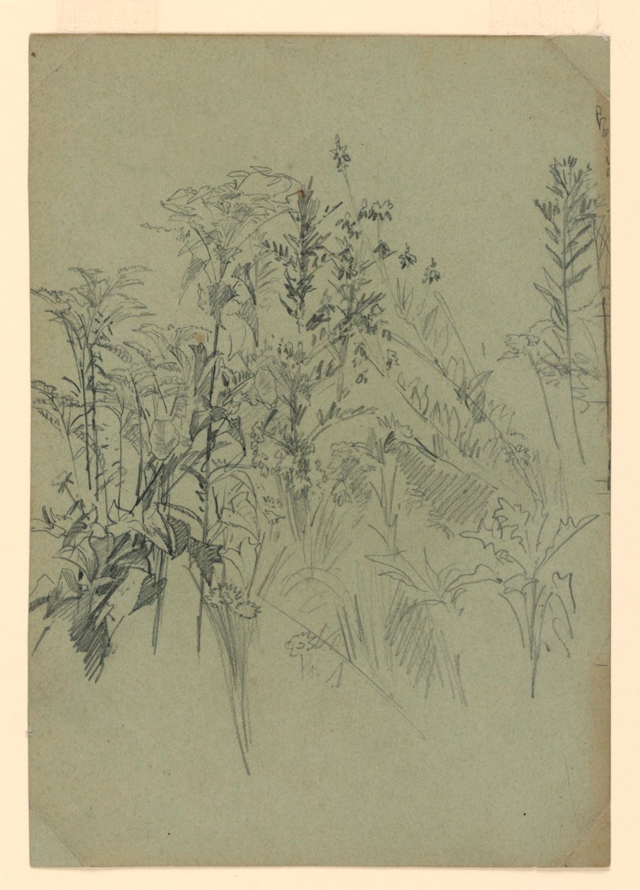 Studie av løvverk av William Trost Richards
