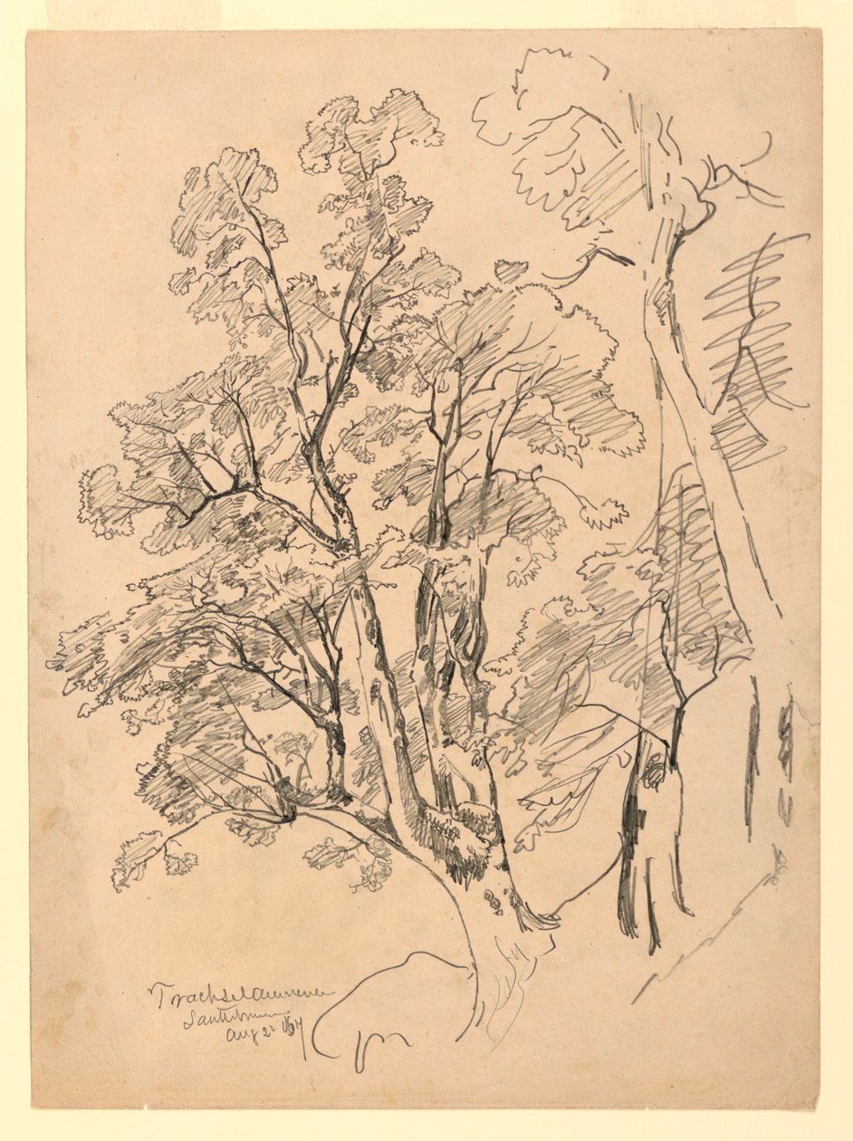 Studie av løvverk, Trachselwald, Bern, Sveits av William Trost Richards