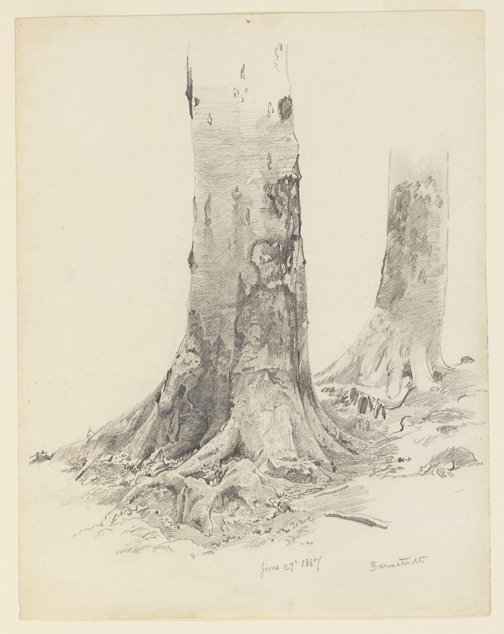 Trestammer, Darmstadt av William Trost Richards