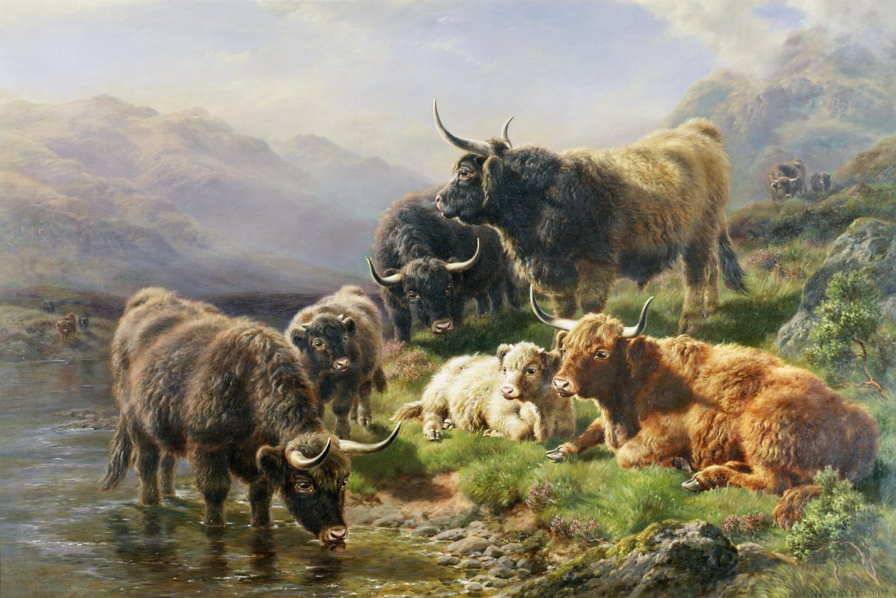 Highland Cattle av William Watson