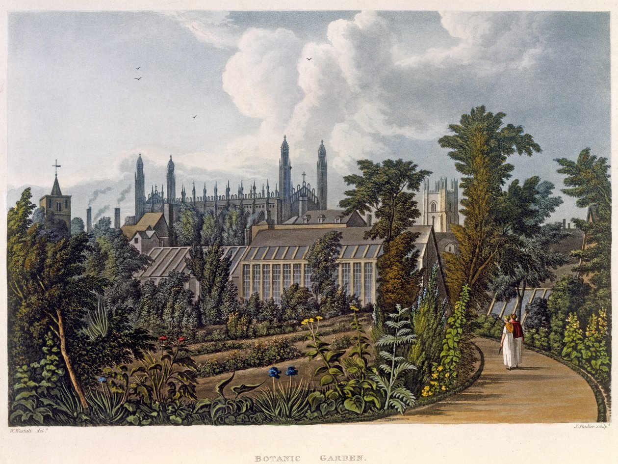 The Botanical Gardens, Cambridge, fra 'The History of Cambridge', gravert av Joseph Constantine Stadler (fl.1780-1812), pub. av R. Ackermann, 1815 (fargeakvatint) av William Westall