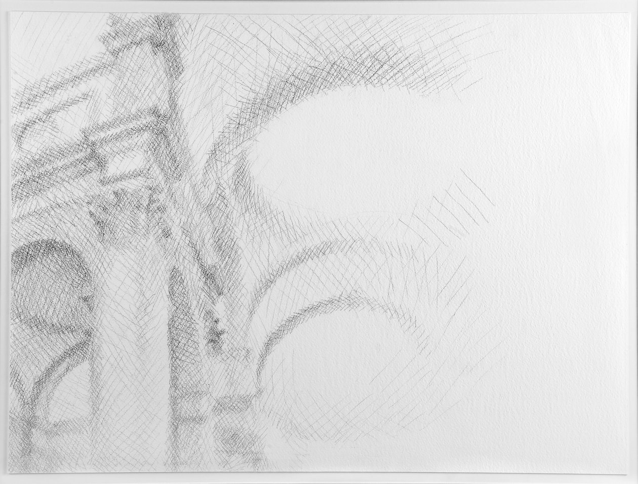 San Salvador, Venezia, 2007 (blyant på papir) av William Wilkins