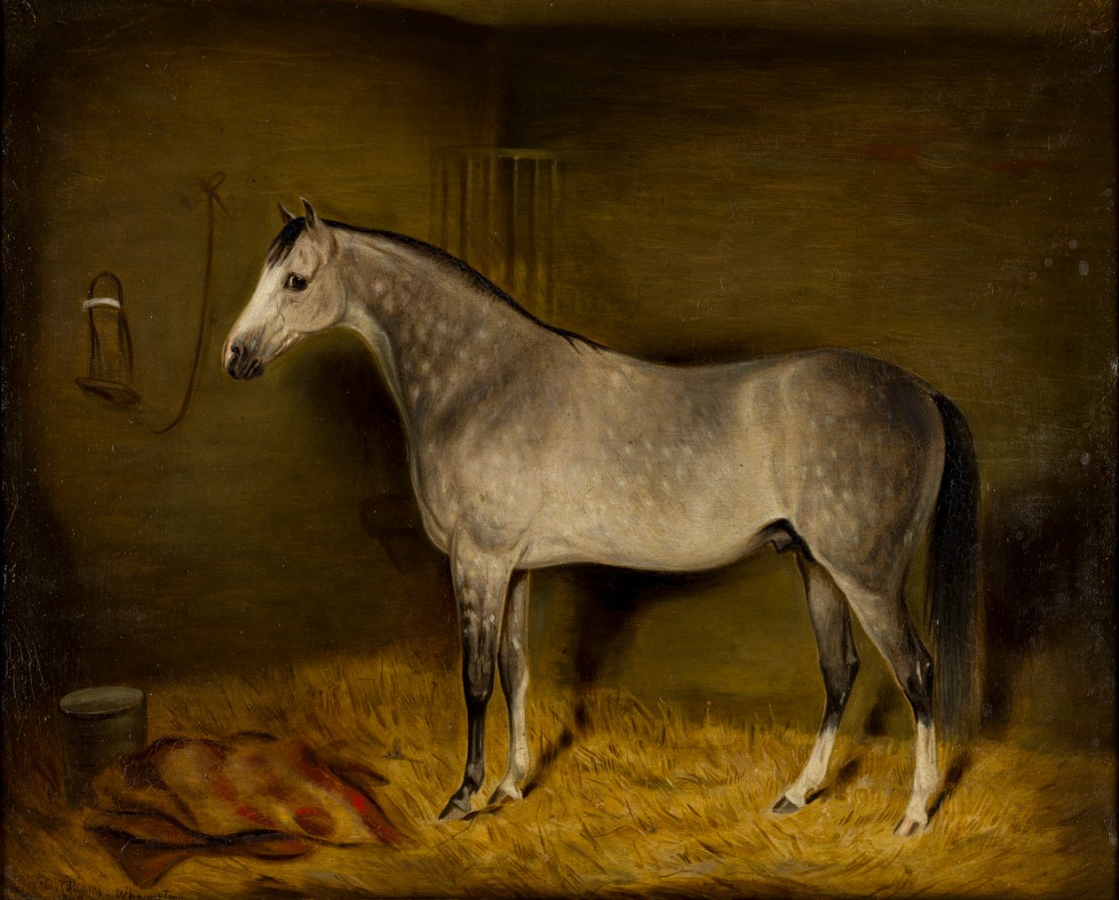 Arabisk hest i en løs boks, ca. 1860 (olje på lerret) av William Williams