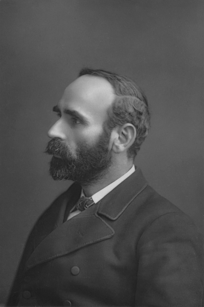 MR. Michael Davitt, c1891 av William and Daniel Downey