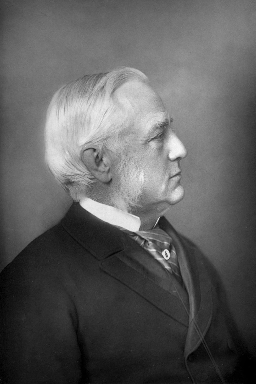 Professor Max Müller 1823-1900, tysk filolog og orientalist, 1893. av William and Daniel Downey