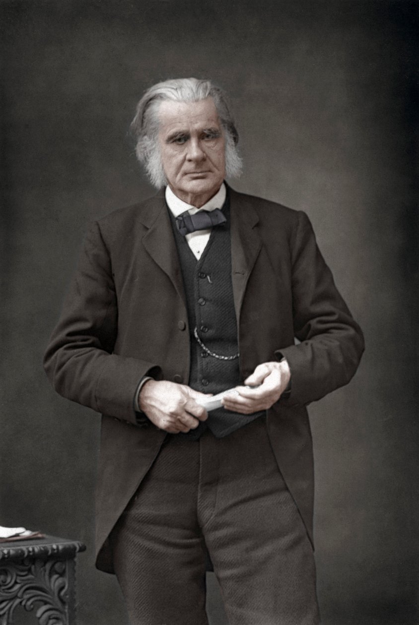 Thomas Henry Huxley 1825-1895, engelsk biolog, 1890. av William and Daniel Downey